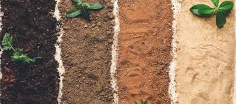 Soil Farming Image 3