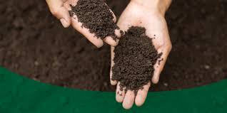 Soil Farming Image 6